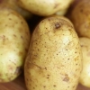 Cozinhar batatas