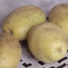 Armazenar batatas