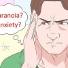 Prevenir a suspeita e a paranóia
