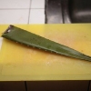 Fazendo suco de aloe vera