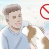 Reduzindo a ansiedade em cães