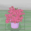 Poda de azaléias