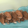 Alimentando coelhinhos