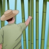 Cura de bambu
