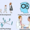 Adquira conhecimentos básicos de psicologia