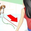 Entendendo o que seu cão quer