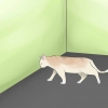 Determinando se o seu gato é cego