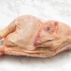 Prepare frango congelado com segurança