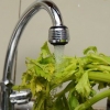 Fazendo suco de aipo