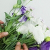 Secagem de flores