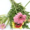 Arranjo de flores