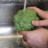 Cortando brócolis