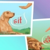 Parar solavancos em cães