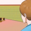 Cobaias de treinamento potty