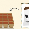 Cultivando pimentas dentro de casa