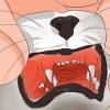 Descubra a idade do seu gato