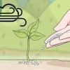 Usando o fertilizante uréia
