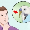 Cortar o bico de um pássaro