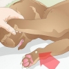Preparando os ergôs de um cachorro