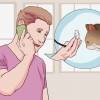 Combater a diarreia em gatos