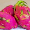 Comer fruta do dragão (pitaya)