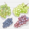 Cultivo de uvas a partir de sementes