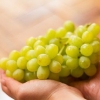 Mantendo as uvas frescas