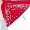 Como dobrar uma bandana