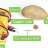 Fazendo uma bateria de uma batata