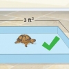 Criando um habitat interno para um terrapene