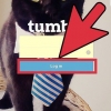 Excluir um blog no tumblr