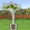 Plante uma árvore