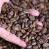 Usando uma cafeteira