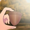 Cultivando um carvalho plantando uma bolota