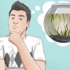 Criando um ecossistema aquático fechado