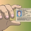 Renovar um green card