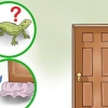 Pegando um lagarto em casa