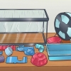 Limpando uma gaiola de hamster