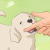 Como destreinar um cachorro para morder