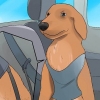 Acalmar um cachorro que está nervoso no carro