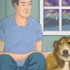 Acalmar um cão durante uma tempestade