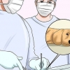Como fazer um cachorro parar de morder