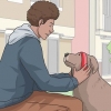 Passeando com um cachorro
