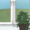 Fazendo uma planta hoya florescer