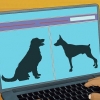 Adote um cão de serviço