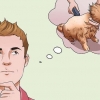 Barbear um gato