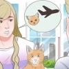 Transportar um gato de avião