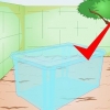 Construindo uma casa para gatos