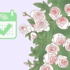 Plante uma rosa trepadeira