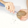 Abrindo um coco